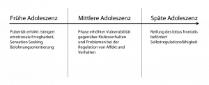 Risiko-konnotierte Verhaltensweisen und Vulnerabilität im Kontext verschiedener Phasen der Adoleszenz (übersetzt Steinberg, 2005, S. 70)
